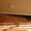 Mold Elimination Handyman Brunswick County NC, Handyman Service Cherry Grove SC